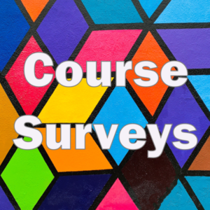 Read more about the article Using Surveys To Grow Your Course Sales