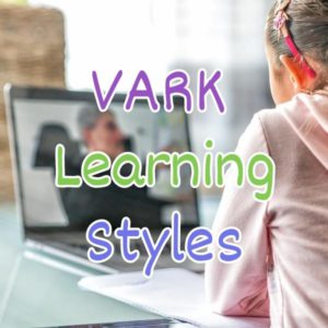 Read more about the article VARK Learning Styles For Online Course Creators